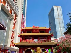 -越秀西湖花市(广州城市广场花卉店)