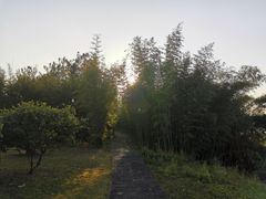 -福建鲤鱼洲酒店