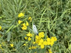 -中国天府农业博览园