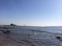 iphone_upload_pic-栈桥景区