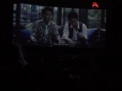 -枫花园汽车电影院(朝阳公园店)