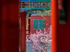 -故宫博物院(故宫)
