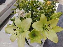 -HEYAN荷妍专业脱毛连锁机构