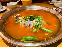 -新凯里酸汤鱼(飞山街店)
