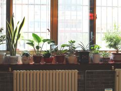 -赵记煎饼卷大葱(东岳店)