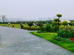-金银湖国家城市湿地公园
