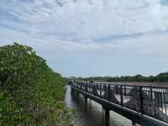 -东寨港红树林旅游区