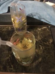 -敖东酵素·离子暖房