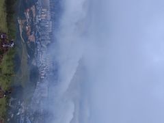-长虫山生态公园风景林