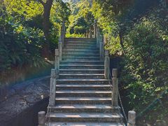 -阳台山森林公园