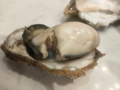 -鲜螺湾(鹏欣丽都店)