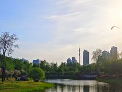 -群力丁香公园