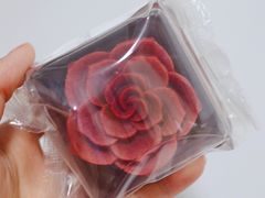 -星巴克(南翔五彩城店)