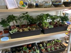 -A+匠心DIY手工坊·首饰·微景观