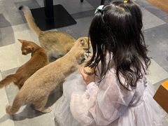 -猫小院猫主题餐厅(三里屯店)
