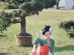 -盆景园(扬州大运河文化旅游度假区)