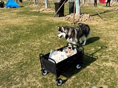 -上海海湾国家森林公园