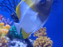 -广州海洋馆