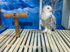 -成都浩海立方海洋公园