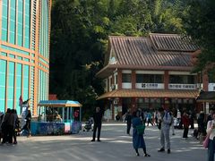 -西双版纳原始森林公园
