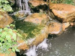 -云溪植物园