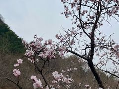 -易水湖景区