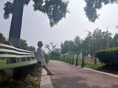-金银湖国家城市湿地公园