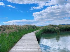 -野鸭湖国家湿地公园