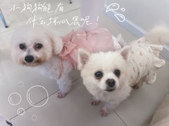 -怪兽屋·羊驼·猫咖·狗咖(俊华广场店)