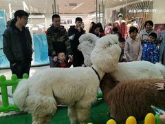 -万达广场(沈阳铁西店)