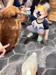 -Zoolung Zoolung动物主题公园(海信广场店)