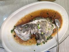 黑瓜子鱼-庭苑美食中心·陈皮烧鹅·海鲜(台山店)