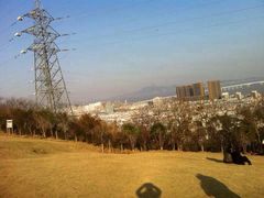 青龙山公园-青龙山公园