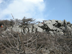 景点-朱雀国家森林公园