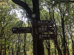 -昆明植物园