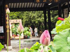 -广达眼镜炖罐(广达店)