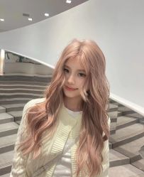 -木北造型