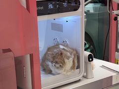 -FAELING PETS美天灵宠物(合生汇店)