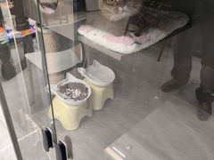 -财東财·棋牌(五角场店)