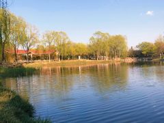 -大兴滨河森林公园