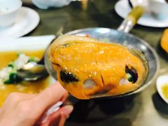 -The Dishes Seafood & Restaurant