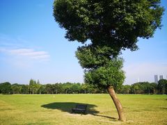 -山明水秀大饭店