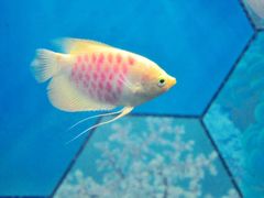 -福州罗源湾海洋世界旅游区