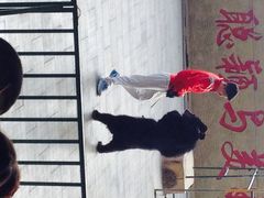 iphone_upload_pic-东方熊牧场
