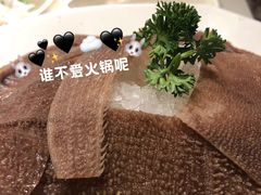 -海底捞火锅鲜切牛肉主题店(长寿路店)
