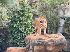 -海南热带野生动植物园
