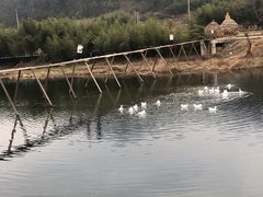 -绩溪龙川景区