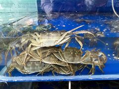 -阳澄湖大闸蟹·琼灵阁牌品牌连锁(吴中总店)