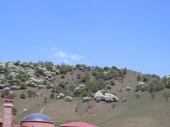 -关山草原