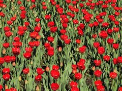 -长春公园(普阳街道)